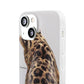 Leopard&