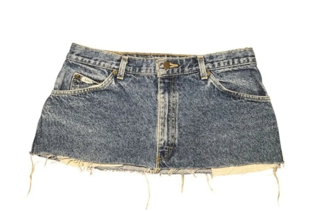 Applique Print Denim Skirt