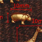 Animal earrings