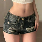 Low Rise Cambri Shorts