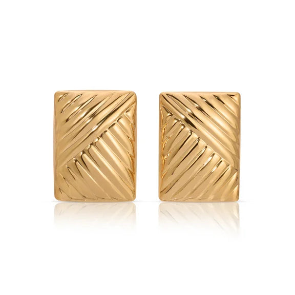 Gold Plated Stainless Earrings
